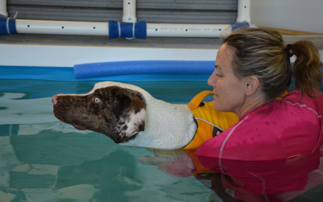 Checking Back with Water Bark Wellness