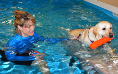 Water Bark Wellness makes a splash in Camden