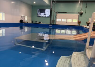 Wide view of the heated indoor dog swimming pool at Water Bark Wellness